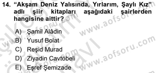 Çağdaş Türk Edebiyatları 1 Dersi 2022 - 2023 Yılı Yaz Okulu Sınav Soruları 14. Soru