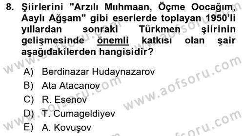 Çağdaş Türk Edebiyatları 1 Dersi 2022 - 2023 Yılı Yaz Okulu Sınav Soruları 8. Soru