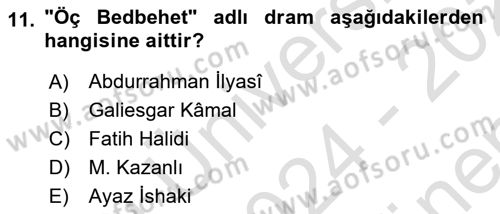 Çağdaş Türk Edebiyatları 1 Dersi 2024 - 2025 Yılı (Final) Dönem Sonu Sınav Soruları 11. Soru