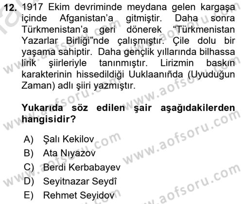 Çağdaş Türk Edebiyatları 1 Dersi 2024 - 2025 Yılı (Final) Dönem Sonu Sınav Soruları 12. Soru