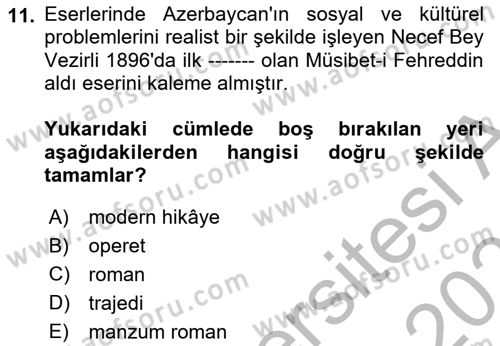 Çağdaş Türk Edebiyatları 1 Dersi 2025 - 2026 Yılı (Vize) Ara Sınav Soruları 11. Soru