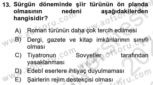 Çağdaş Türk Edebiyatları 1 Dersi 2025 - 2026 Yılı (Final) Dönem Sonu Sınav Soruları 13. Soru