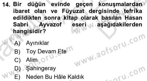 Çağdaş Türk Edebiyatları 1 Dersi 2025 - 2026 Yılı (Final) Dönem Sonu Sınav Soruları 14. Soru