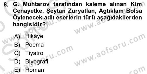 Çağdaş Türk Edebiyatları 1 Dersi 2025 - 2026 Yılı (Final) Dönem Sonu Sınav Soruları 8. Soru