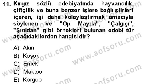 Çağdaş Türk Edebiyatları 2 Dersi 2013 - 2014 Yılı Tek Ders Sınav Soruları 11. Soru