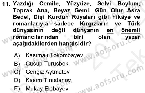 Çağdaş Türk Edebiyatları 2 Dersi 2015 - 2016 Yılı Tek Ders Sınav Soruları 11. Soru