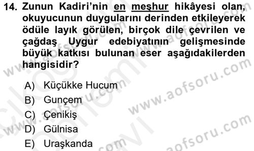Çağdaş Türk Edebiyatları 2 Dersi 2015 - 2016 Yılı Tek Ders Sınav Soruları 14. Soru