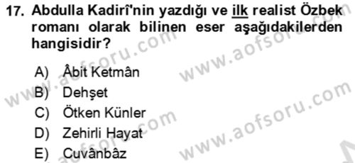 Çağdaş Türk Edebiyatları 2 Dersi 2021 - 2022 Yılı (Vize) Ara Sınav Soruları 17. Soru