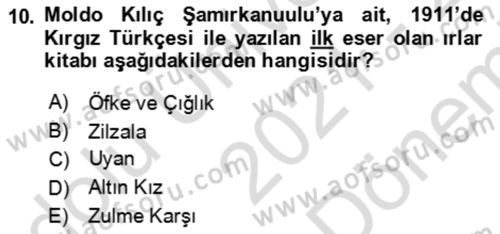 Çağdaş Türk Edebiyatları 2 Dersi 2021 - 2022 Yılı (Final) Dönem Sonu Sınav Soruları 10. Soru