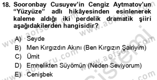 Çağdaş Türk Edebiyatları 2 Dersi 2021 - 2022 Yılı (Final) Dönem Sonu Sınav Soruları 18. Soru