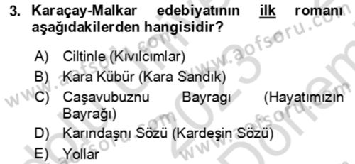 Çağdaş Türk Edebiyatları 2 Dersi 2023 - 2024 Yılı (Final) Dönem Sonu Sınav Soruları 3. Soru