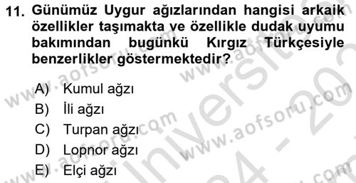 Çağdaş Türk Edebiyatları 2 Dersi 2024 - 2025 Yılı (Final) Dönem Sonu Sınav Soruları 11. Soru