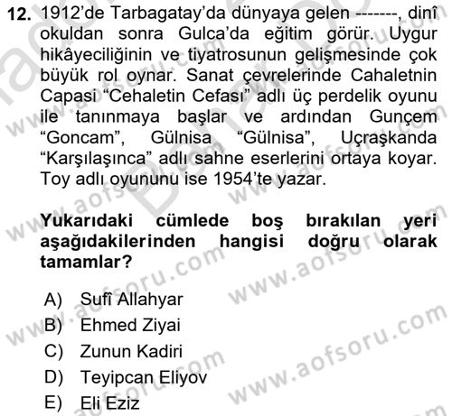 Çağdaş Türk Edebiyatları 2 Dersi 2024 - 2025 Yılı (Final) Dönem Sonu Sınav Soruları 12. Soru