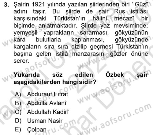 Çağdaş Türk Edebiyatları 2 Dersi 2024 - 2025 Yılı (Final) Dönem Sonu Sınav Soruları 3. Soru