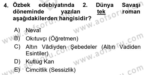 Çağdaş Türk Edebiyatları 2 Dersi 2024 - 2025 Yılı (Final) Dönem Sonu Sınav Soruları 4. Soru
