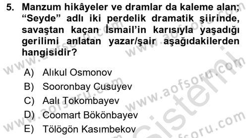 Çağdaş Türk Edebiyatları 2 Dersi 2024 - 2025 Yılı (Final) Dönem Sonu Sınav Soruları 5. Soru