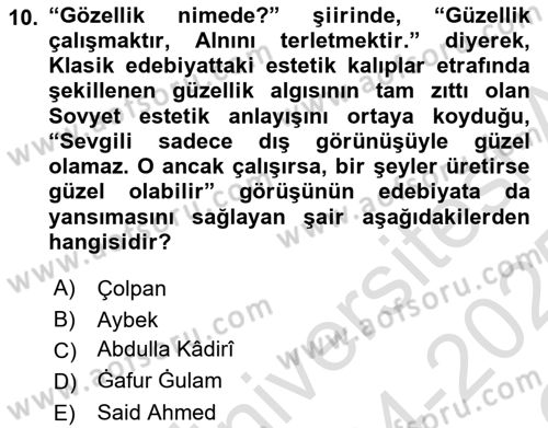 Çağdaş Türk Edebiyatları 2 Dersi 2024 - 2025 Yılı Yaz Okulu Sınav Soruları 10. Soru