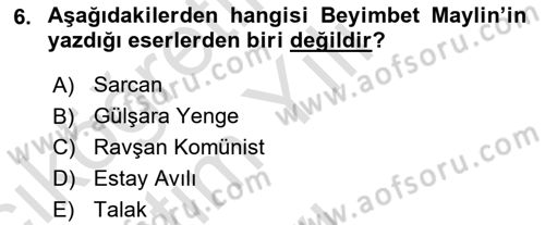 Çağdaş Türk Edebiyatları 2 Dersi 2024 - 2025 Yılı Yaz Okulu Sınav Soruları 6. Soru
