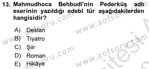 Çağdaş Türk Edebiyatları 2 Dersi 2025 - 2026 Yılı (Vize) Ara Sınav Soruları 13. Soru