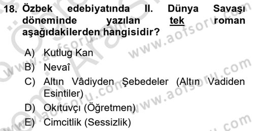 Çağdaş Türk Edebiyatları 2 Dersi 2025 - 2026 Yılı (Vize) Ara Sınav Soruları 18. Soru