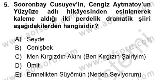 Çağdaş Türk Edebiyatları 2 Dersi 2025 - 2026 Yılı (Final) Dönem Sonu Sınav Soruları 5. Soru