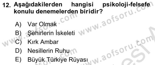 Cumhuriyet Dönemi Türk Nesri Dersi 2019 - 2020 Yılı (Vize) Ara Sınavı 12. Soru