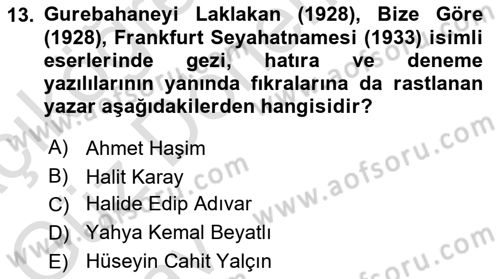 Cumhuriyet Dönemi Türk Nesri Dersi Ara Sınavı Deneme Sınav Soruları 13. Soru