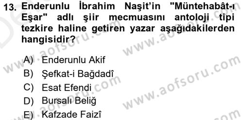 Eski Türk Edebiyatının Kaynaklarından Şair Tezkireleri Dersi 2015 - 2016 Yılı Tek Ders Sınav Soruları 13. Soru
