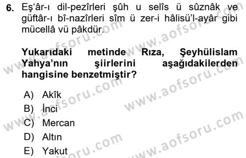 Eski Türk Edebiyatının Kaynaklarından Şair Tezkireleri Dersi 2018 - 2019 Yılı Yaz Okulu Sınav Soruları 6. Soru