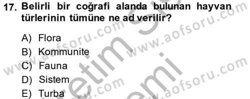 Enerji ve Çevre Dersi 2013 - 2014 Yılı (Final) Dönem Sonu Sınav Soruları 17. Soru