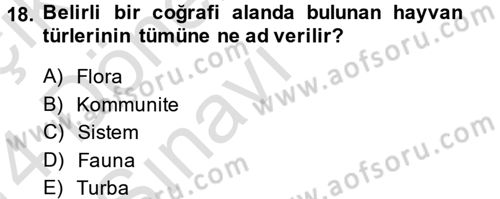 Enerji ve Çevre Dersi 2013 - 2014 Yılı Tek Ders Sınav Soruları 18. Soru