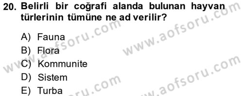 Enerji ve Çevre Dersi 2014 - 2015 Yılı Tek Ders Sınav Soruları 20. Soru