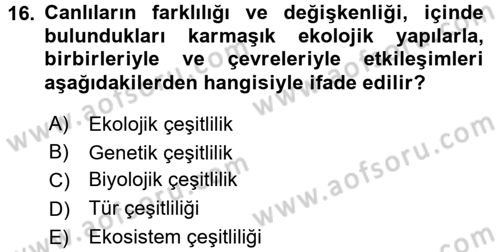 Enerji ve Çevre Dersi 2015 - 2016 Yılı (Final) Dönem Sonu Sınav Soruları 16. Soru