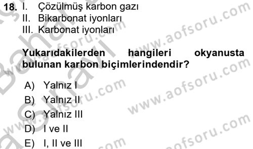 Enerji ve Çevre Dersi 2016 - 2017 Yılı (Vize) Ara Sınav Soruları 18. Soru