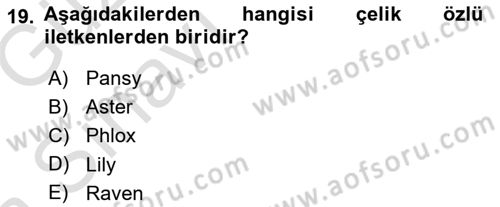 Elektrik Enerjisi Üretimi, İletimi Ve Dağıtımı Dersi 2019 - 2020 Yılı (Vize) Ara Sınav Soruları 19. Soru
