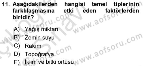 Bina ve Yapım Bilgisi Dersi 2018 - 2019 Yılı 3 Ders Sınav Soruları 11. Soru
