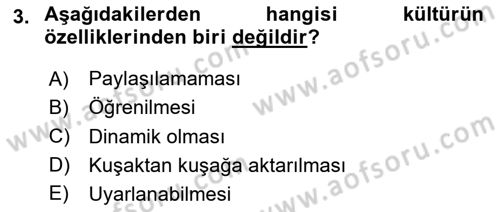 Emlak Pazarlaması Dersi 2024 - 2025 Yılı Yaz Okulu Sınav Soruları 3. Soru