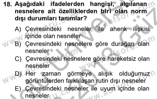 Görsel Estetik Dersi 2012 - 2013 Yılı (Vize) Ara Sınav Soruları 18. Soru