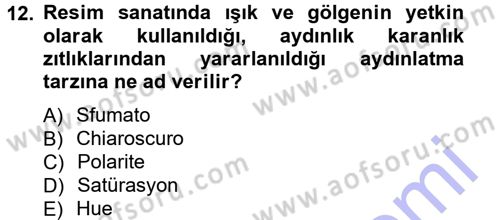 Görsel Estetik Dersi 2012 - 2013 Yılı (Final) Dönem Sonu Sınav Soruları 12. Soru