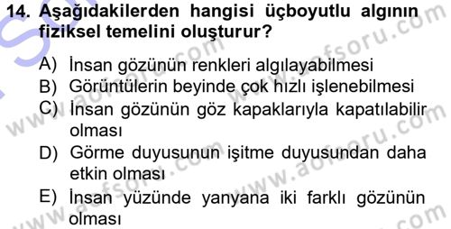 Görsel Estetik Dersi 2012 - 2013 Yılı (Final) Dönem Sonu Sınav Soruları 14. Soru