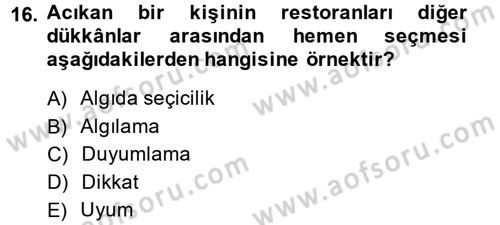 Görsel Estetik Dersi 2013 - 2014 Yılı (Vize) Ara Sınav Soruları 16. Soru