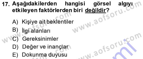 Görsel Estetik Dersi 2013 - 2014 Yılı (Vize) Ara Sınav Soruları 17. Soru