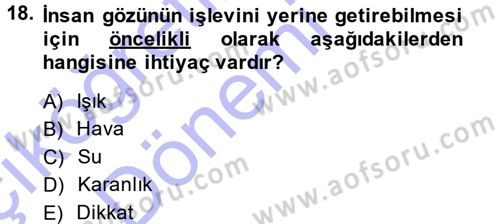 Görsel Estetik Dersi 2013 - 2014 Yılı (Vize) Ara Sınav Soruları 18. Soru