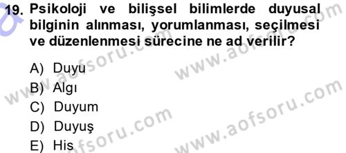 Görsel Estetik Dersi 2013 - 2014 Yılı (Vize) Ara Sınav Soruları 19. Soru