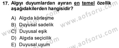 Görsel Estetik Dersi 2014 - 2015 Yılı (Vize) Ara Sınav Soruları 17. Soru