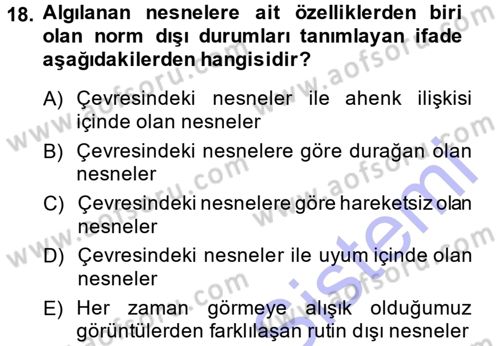 Görsel Estetik Dersi 2014 - 2015 Yılı (Vize) Ara Sınav Soruları 18. Soru