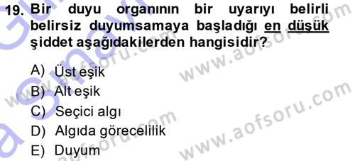 Görsel Estetik Dersi 2014 - 2015 Yılı (Vize) Ara Sınav Soruları 19. Soru