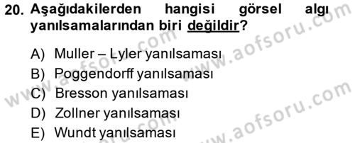 Görsel Estetik Dersi 2014 - 2015 Yılı (Vize) Ara Sınav Soruları 20. Soru