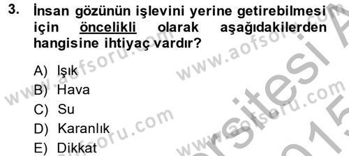 Görsel Estetik Dersi 2014 - 2015 Yılı (Final) Dönem Sonu Sınav Soruları 3. Soru