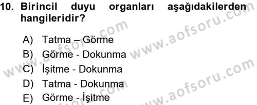 Görsel Estetik Dersi 2015 - 2016 Yılı (Vize) Ara Sınav Soruları 10. Soru